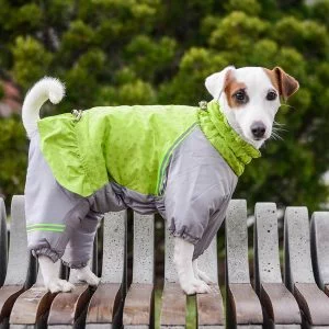 Комбинезон для собаки Молли