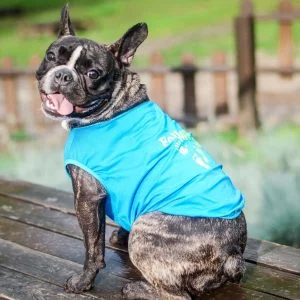 Майка для собаки Follow me