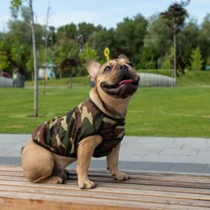 Майка для собаки Бомбастик, розмір s3