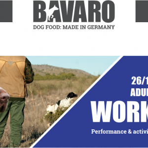 BAVARO WORK 2612 ADULT