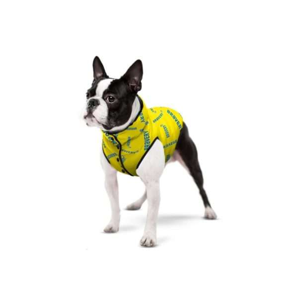 Курточка для собак WAUDOG Clothes малюнок Сміливість