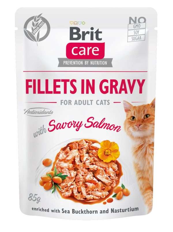 Вологий корм для котів Brit Care Cat pouch, філе в соусі, пікантний лосось, 85 г