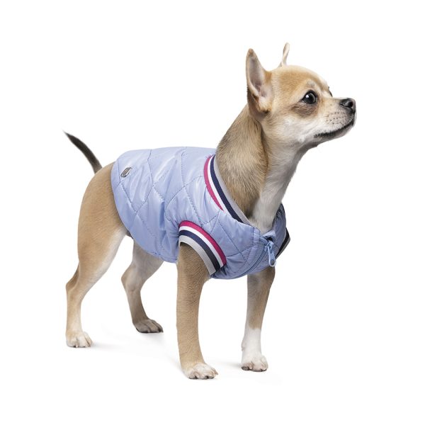 Куртка для собак Бомбер Spike