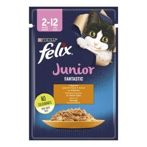 Вологий корм FELIX Fantastic Junior для кошенят шматочки в желе з куркою 85 г