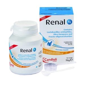 Препарат для стабілізації ниркового тиску Candioli Ренал N 70гр порошок