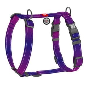Шлея для собак анатомічна H-подібна WAUDOG Nylon Mono розмір М, фіолетовий